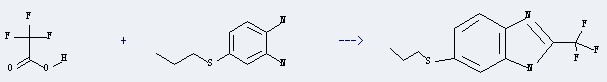 The 1,2-Benzenediamine,4-(propylthio)- could react with trifluoroacetic acid to obtain the 6-propylsulfanyl-2-trifluoromethyl-1H-benzoimidazole